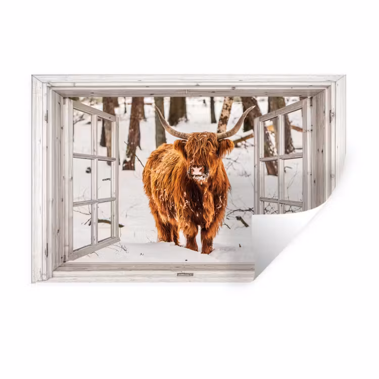 Muursticker - Schotse Hooglander - Sneeuw - Winter - Natuur - Dier - Doorkijk - Landelijk — 1