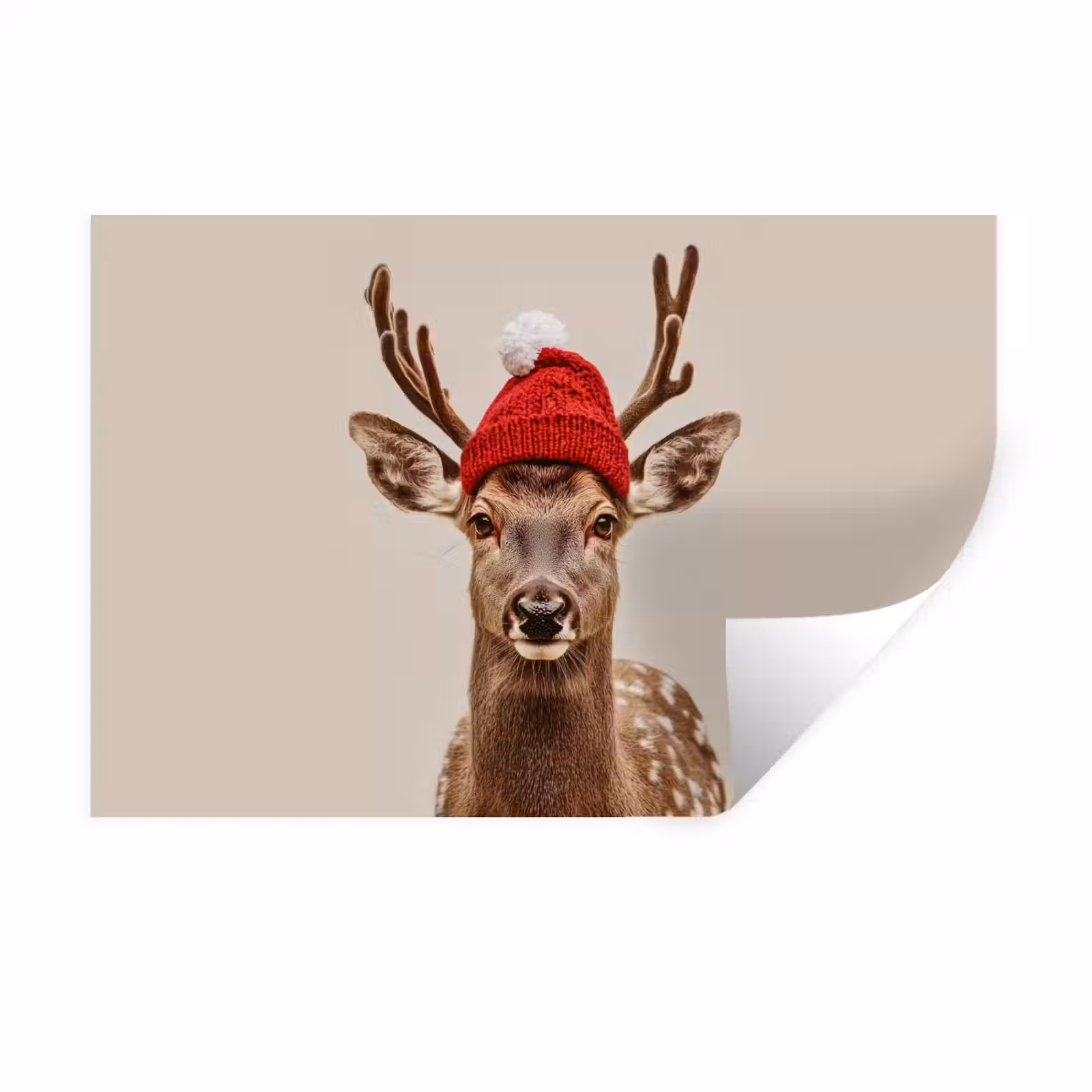 Muursticker - Hert - Kerst - Muts - Dieren - Winter - Grappig — 1