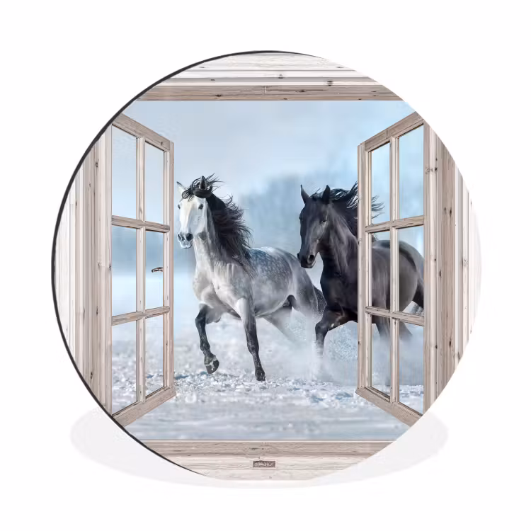 Doorkijk - Paarden - Winter - Dieren - Natuur - Wit — 1