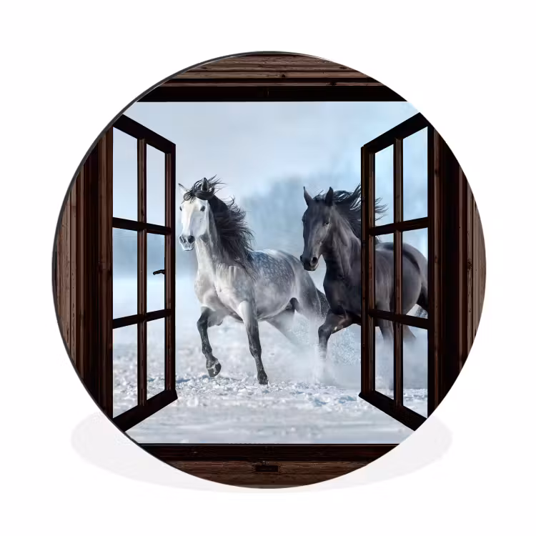 Paarden - Winter - Dieren - Natuur - Doorkijk — 1