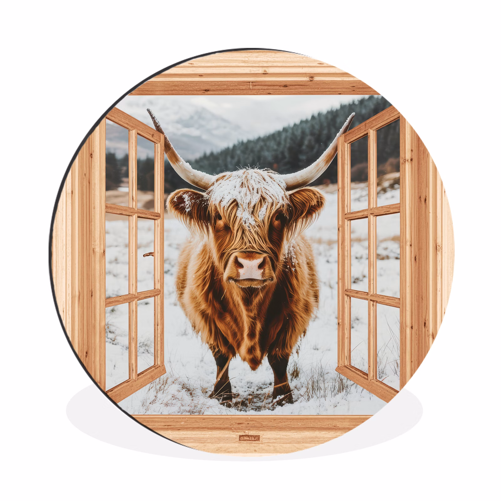 Schotse Hooglander - Landschap - Landelijk - Bergen - Winter - Doorkijk — 1