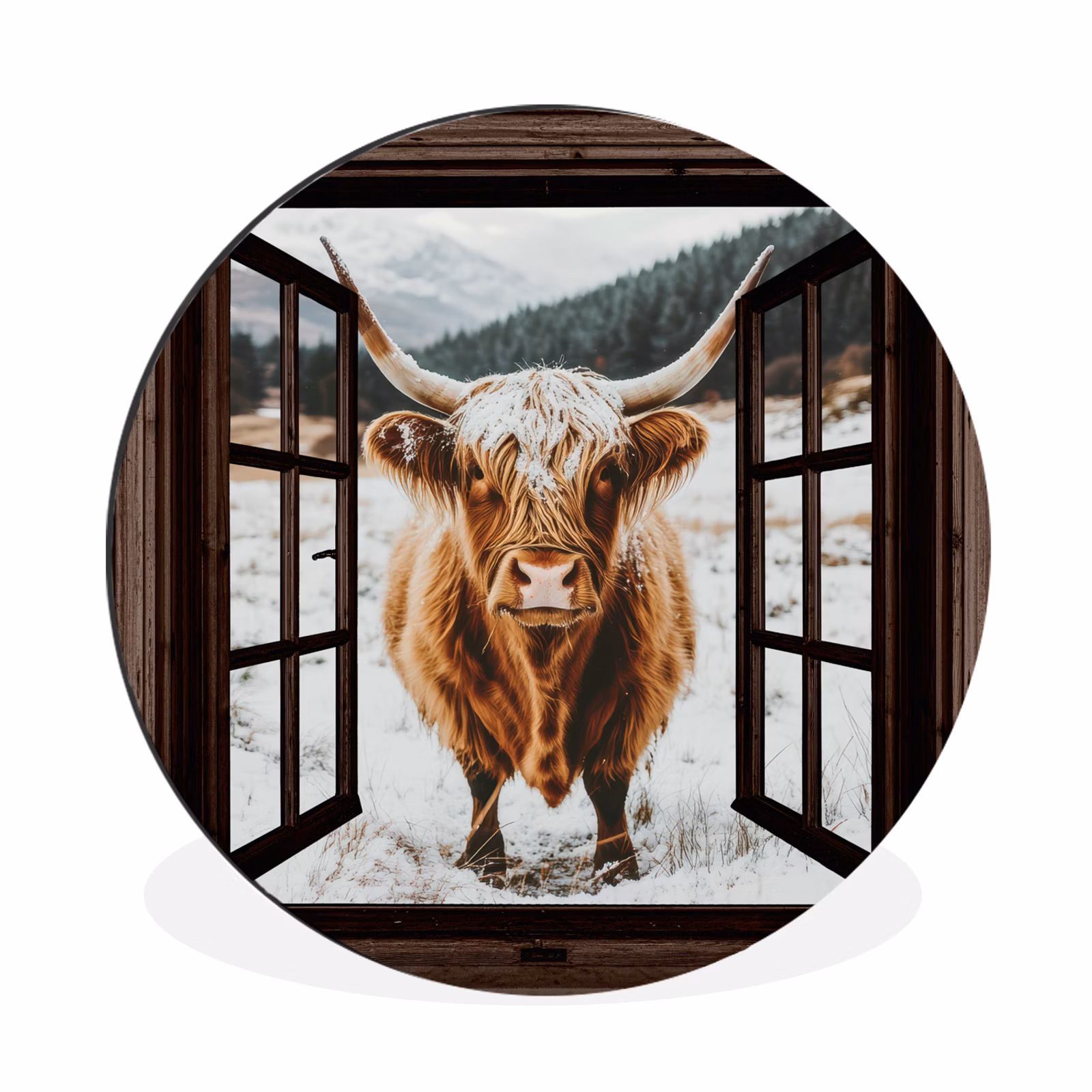 Schotse Hooglander - Landschap - Landelijk - Bergen - Winter - Doorkijk - Donker — 1