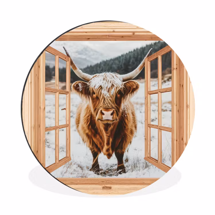 Schotse Hooglander - Landschap - Landelijk - Bergen - Winter - Doorkijk — 1