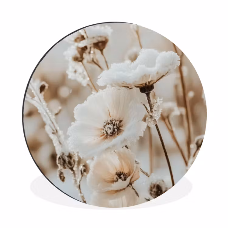 Bloemen - Winter - Wit - Sneeuw - Beige — 1