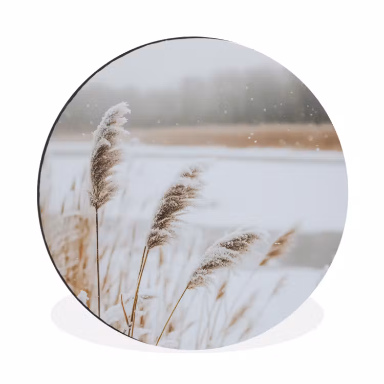 Riet - Meer - Winter - Natuur - Sneeuw - Beige — 1
