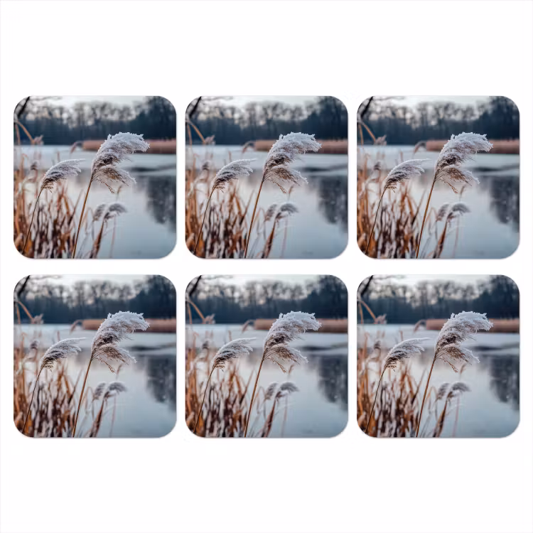 Onderzetter - Riet - Gras - Natuur - Winter - Meer — 1