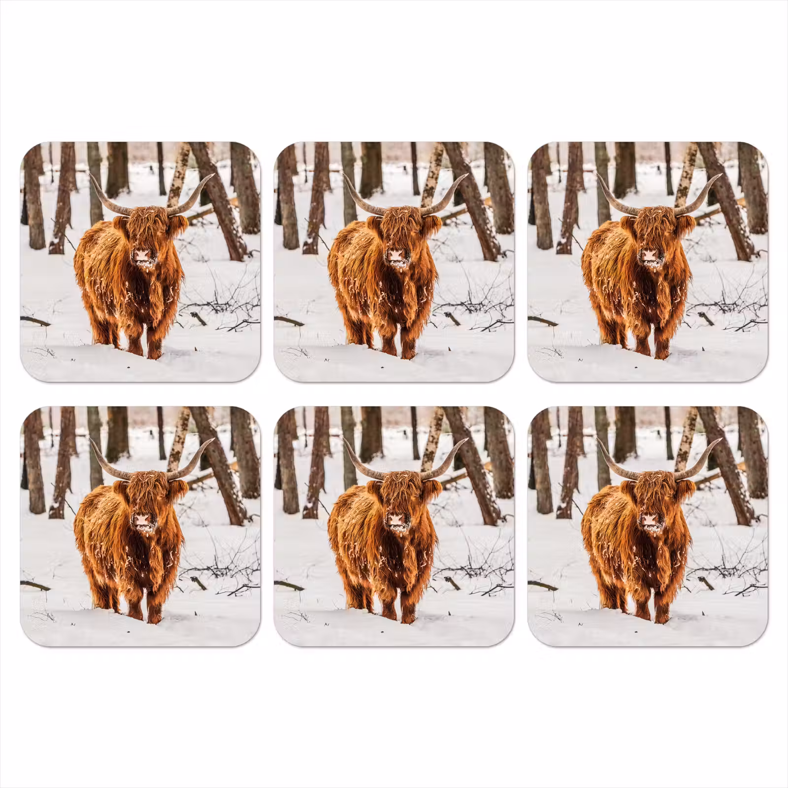Onderzetter - Schotse Hooglander - Sneeuw - Winter - Natuur - Dieren — 1