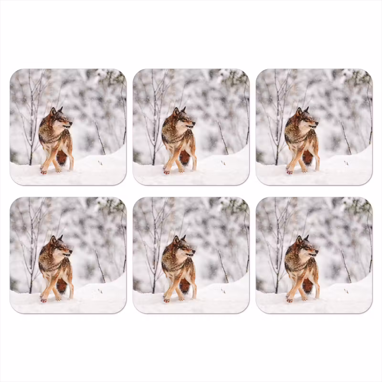 Onderzetter - Wolf - Winter - Sneeuw - Natuur - Dieren — 1