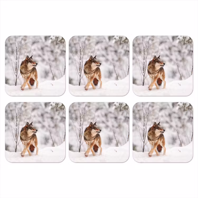 Onderzetter - Wolf - Winter - Sneeuw - Natuur - Dieren — 1