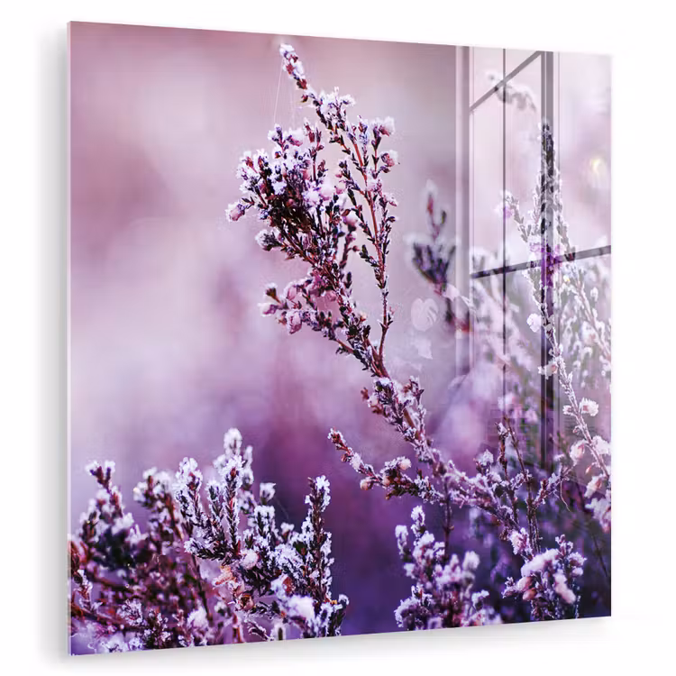 Glas schilderij - Lavendel - Winter - Bloemen - Paars — 1