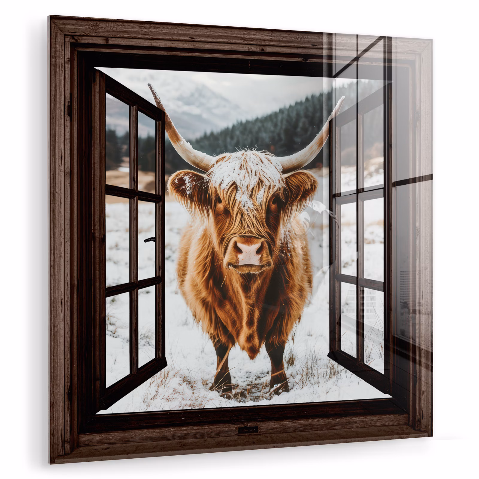 Glas schilderij - Schotse Hooglander - Landschap - Landelijk - Bergen - Winter - Doorkijk - Donker — 1