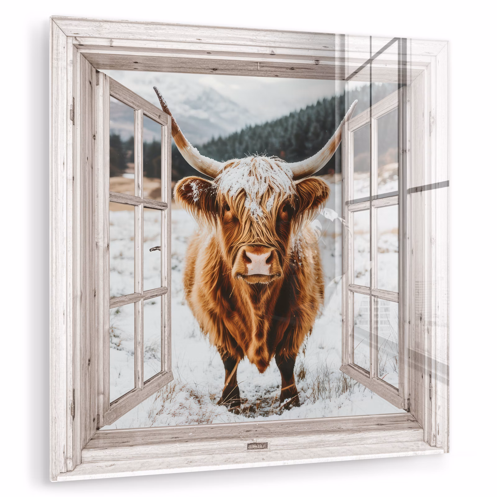 Glas schilderij - Schotse Hooglander - Winterlandschap - Landelijk - Bergen - Doorkijk — 1