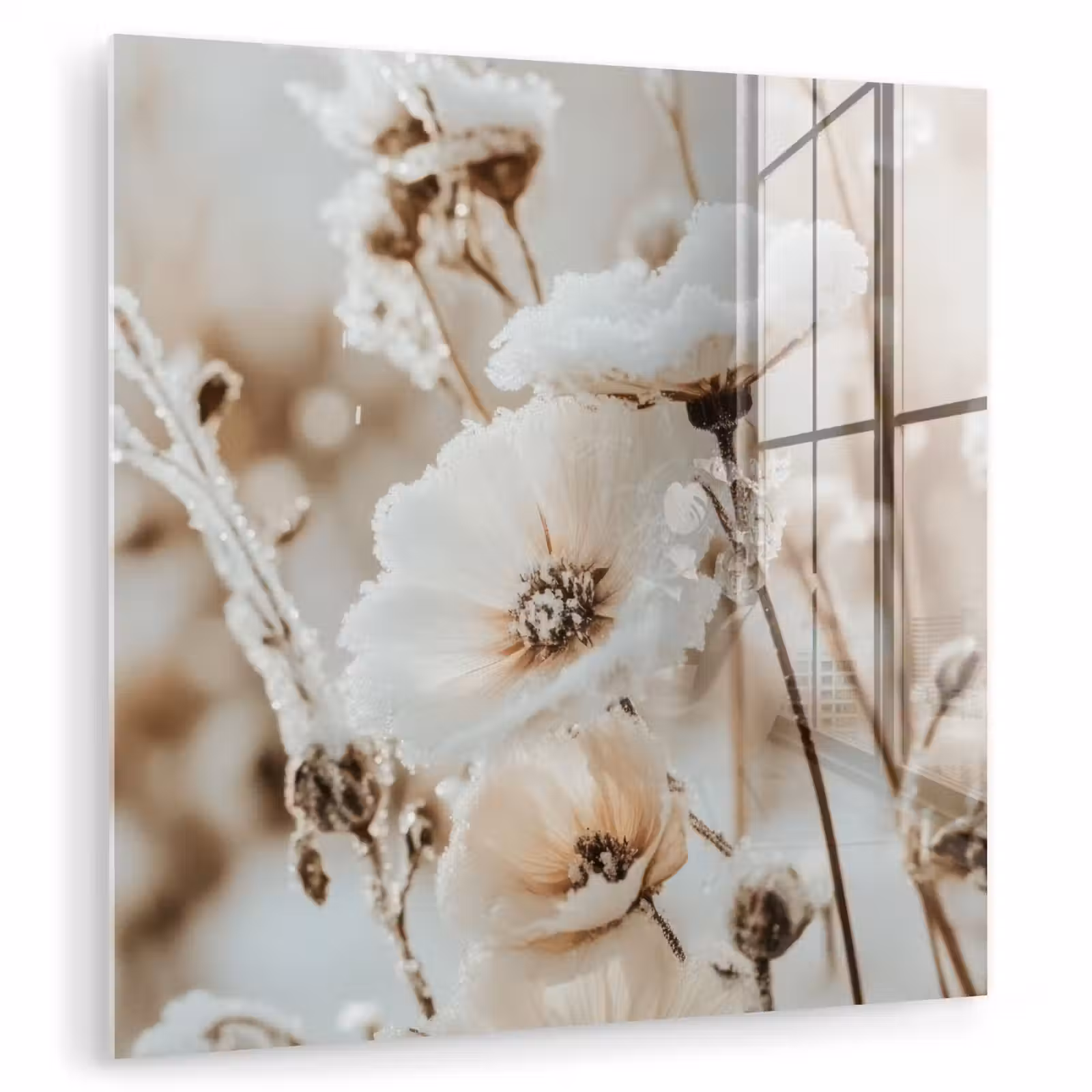 Glas schilderij - Bloemen - Winter - Wit - Sneeuw - Beige — 1