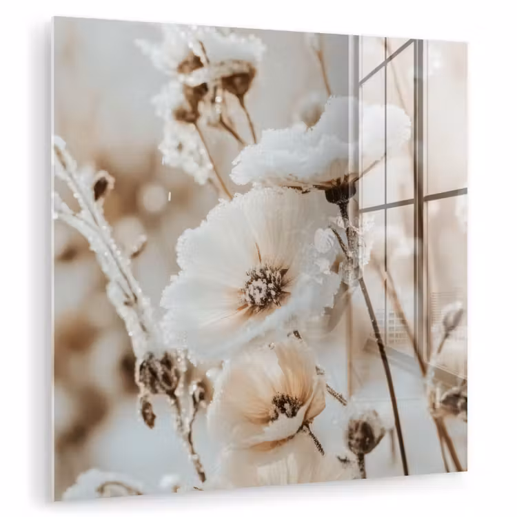 Glas schilderij - Bloemen - Winter - Wit - Sneeuw - Beige — 1