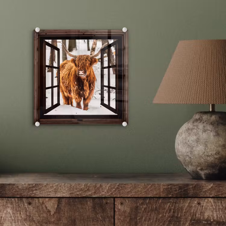 Glas schilderij - Schotse Hooglander - Sneeuw - Natuur - Dieren - Doorkijk - Winter — 4