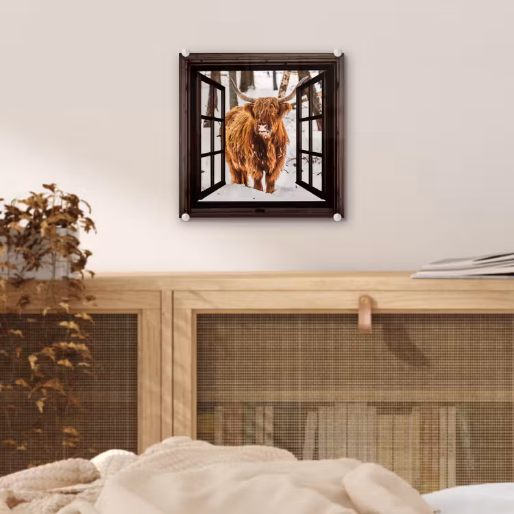 Glas schilderij - Schotse Hooglander - Sneeuw - Natuur - Dieren - Doorkijk - Winter — 5
