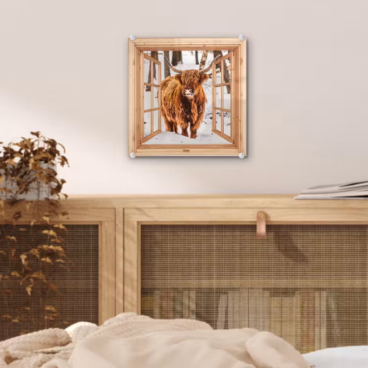 Glas schilderij - Schotse Hooglander - Winter - Landschap - Natuur - Dieren - Doorkijk — 5