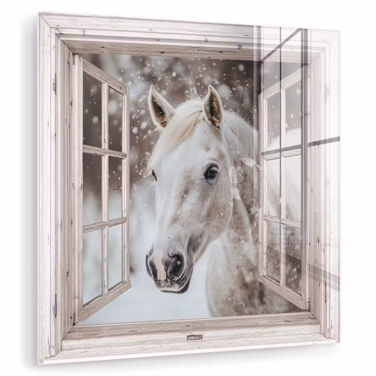Glas schilderij - Paard - Wit - Winter - Sneeuw - Doorkijk - Dieren — 1