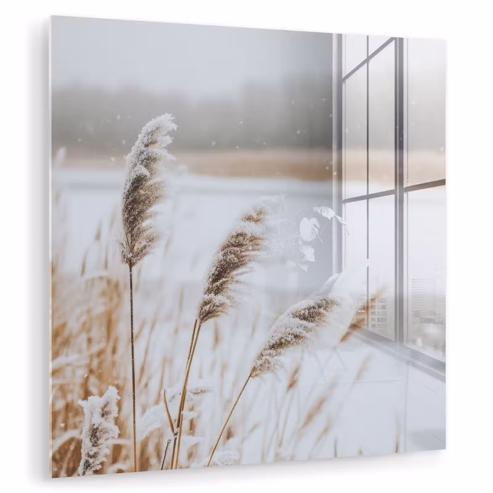 Glas schilderij - Riet - Meer - Winter - Natuur - Sneeuw - Beige — 1