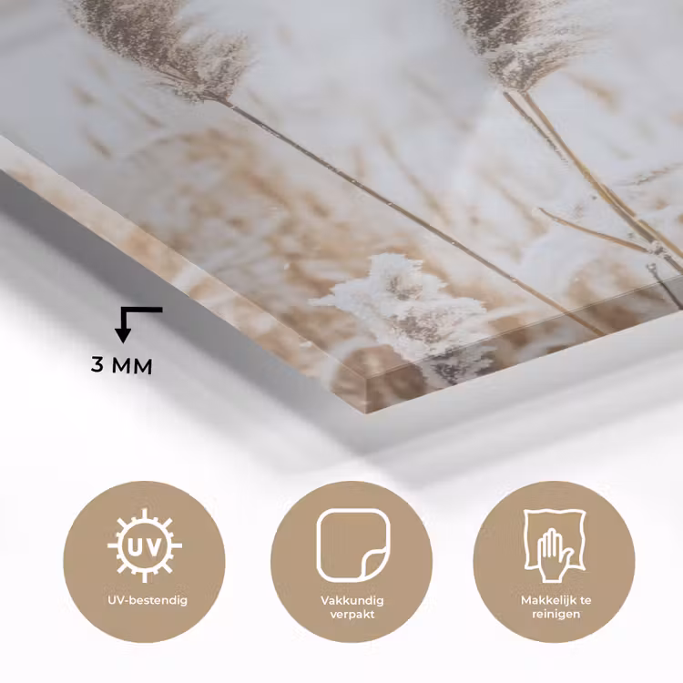 Glas schilderij - Riet - Meer - Winter - Natuur - Sneeuw - Beige — 3