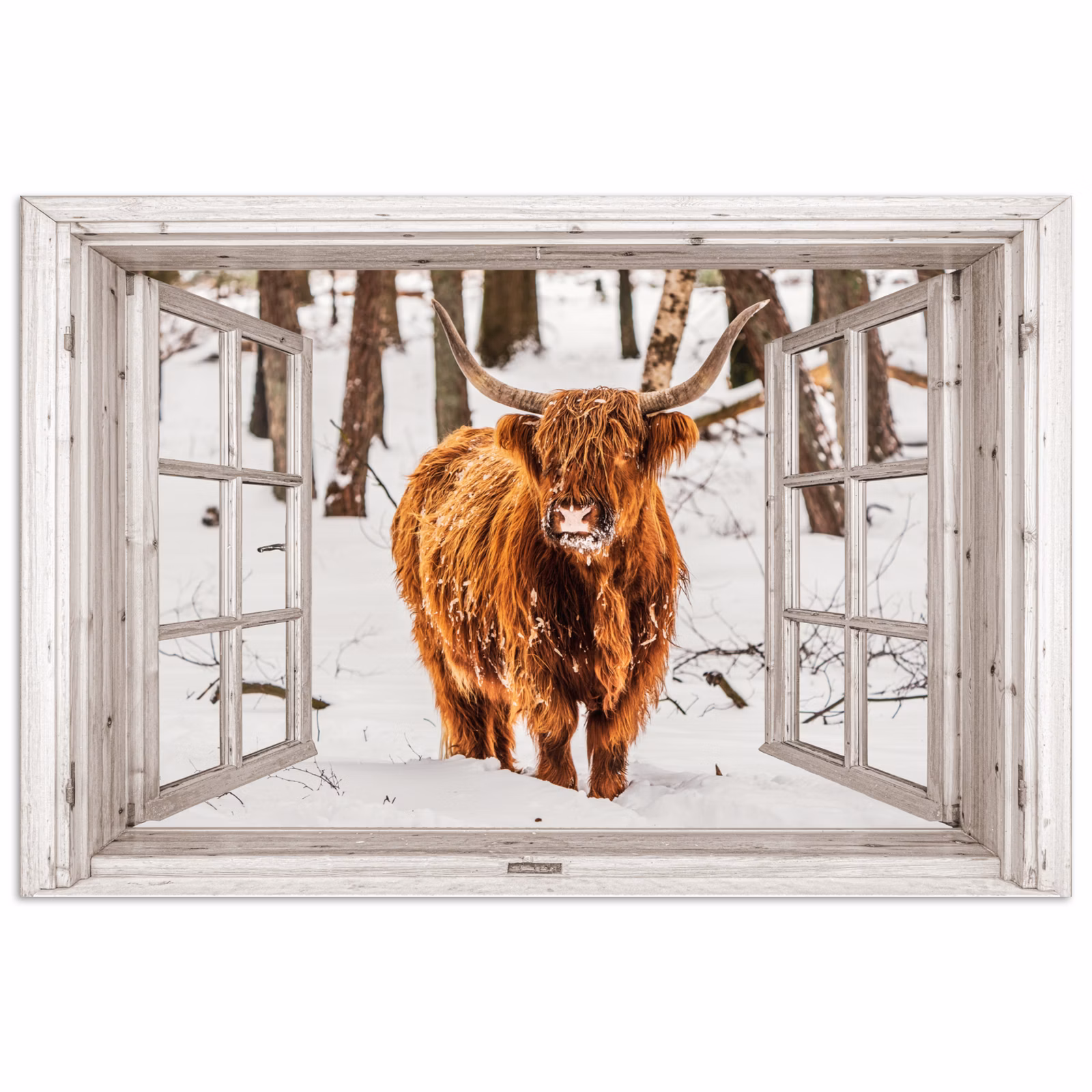 Poster - Schotse Hooglander - Sneeuw - Winter - Natuur - Dier - Doorkijk - Landelijk — 1