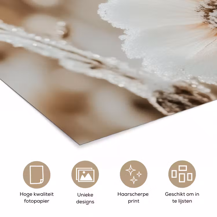 Poster - Bloemen - Winter - Wit - Sneeuw - Beige — 5