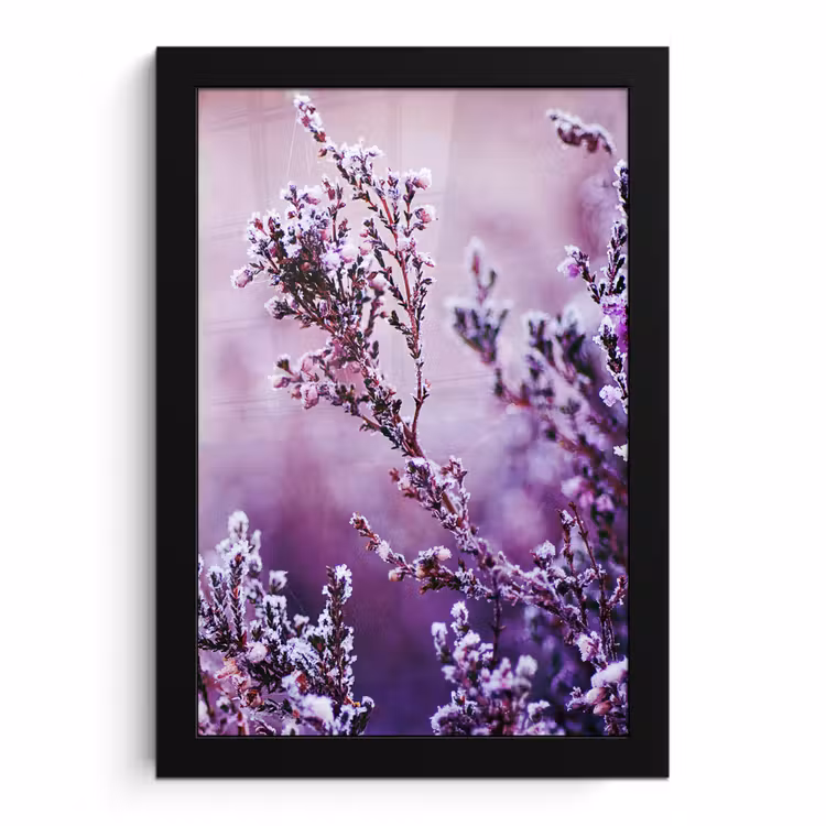 Poster met lijst - Lavendel - Winter - Bloemen - Paars — 1