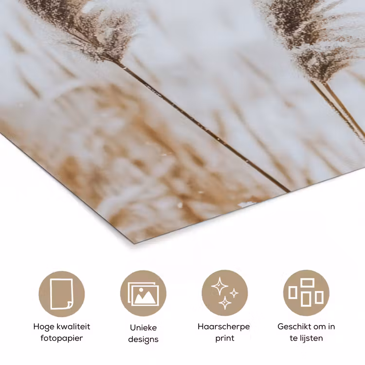 Poster - Riet - Meer - Winter - Natuur - Sneeuw - Beige — 5
