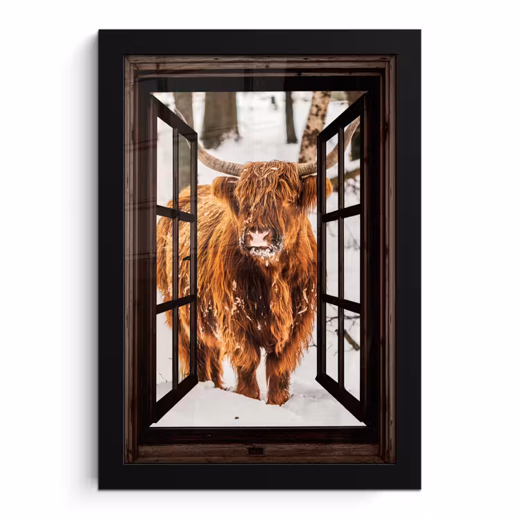 Poster met lijst - Schotse Hooglander - Sneeuw - Natuur - Dieren - Doorkijk - Winter — 1
