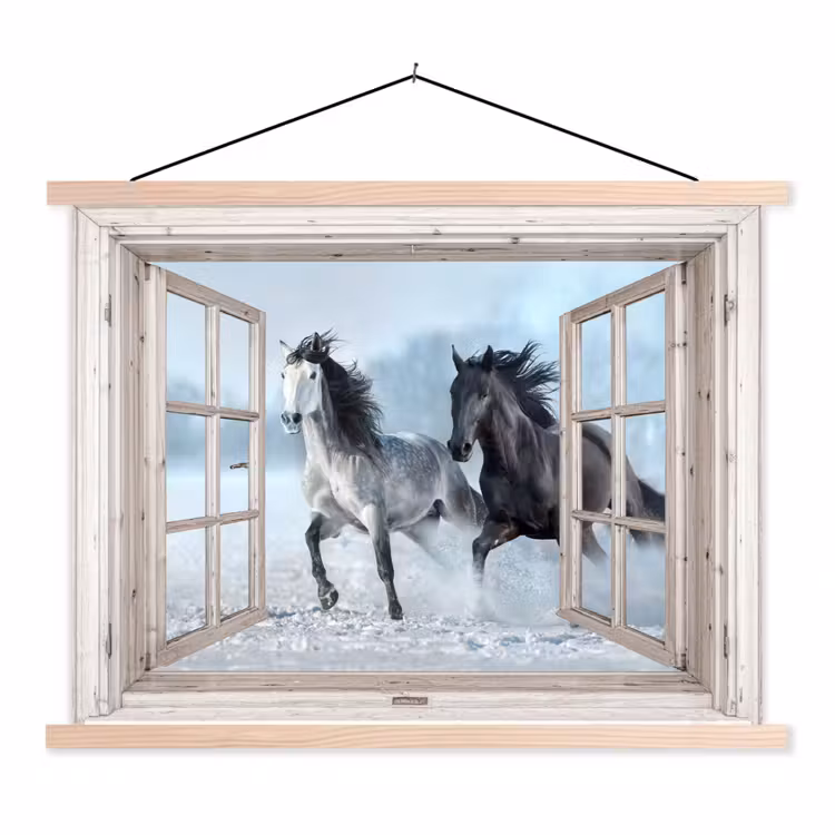 Schoolplaat - Doorkijk - Paarden - Winter - Dieren - Natuur - Wit — 1