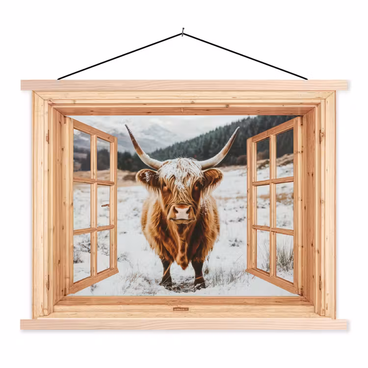 Schoolplaat - Schotse Hooglander - Landschap - Landelijk - Bergen - Winter - Doorkijk — 1