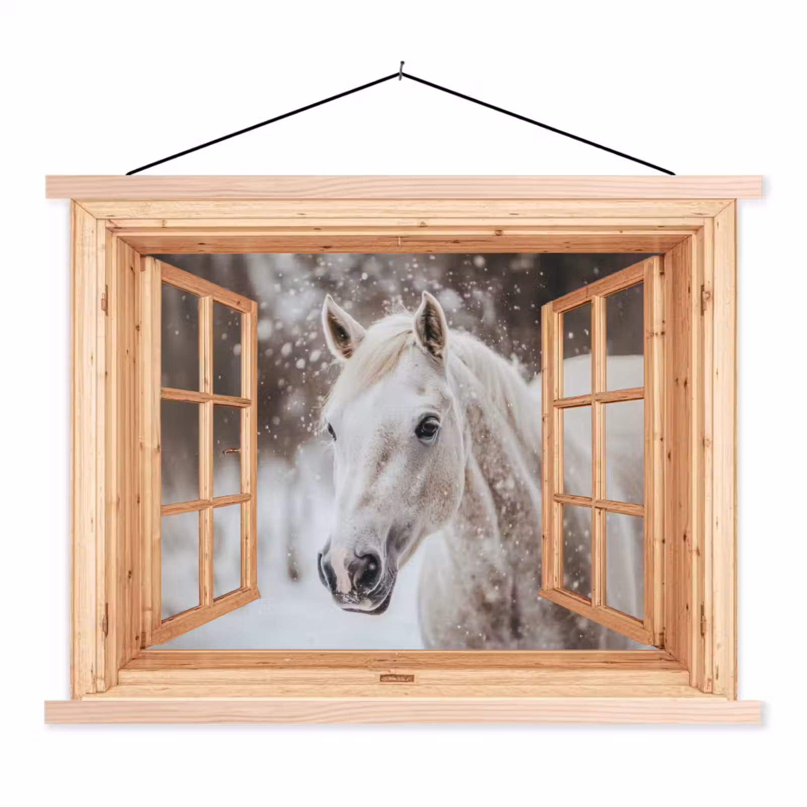 Schoolplaat - Doorkijk - Paard - Wit - Winter - Sneeuw - Dieren — 1