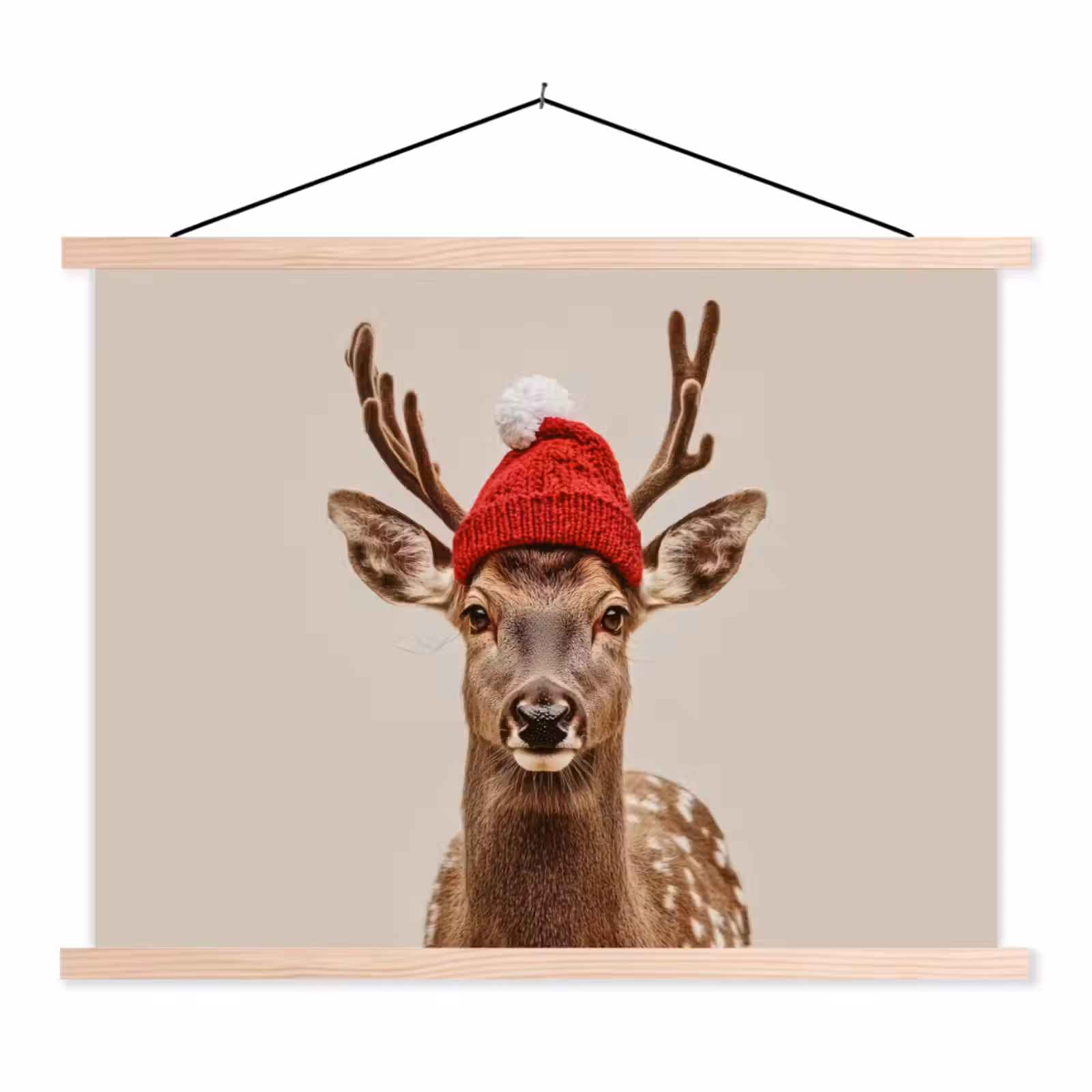 Schoolplaat - Hert - Kerst - Muts - Dieren - Winter - Grappig — 1