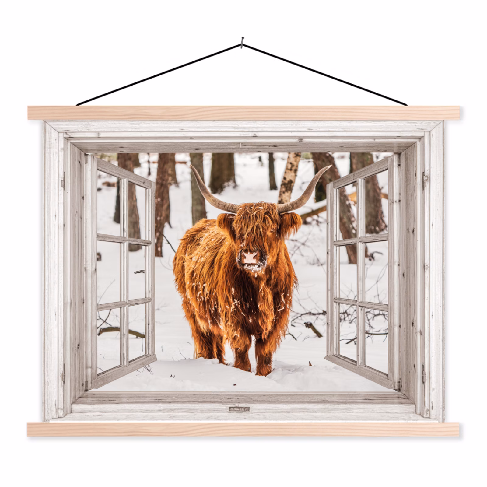 Schoolplaat - Schotse Hooglander - Sneeuw - Winter - Natuur - Dier - Doorkijk - Landelijk — 1