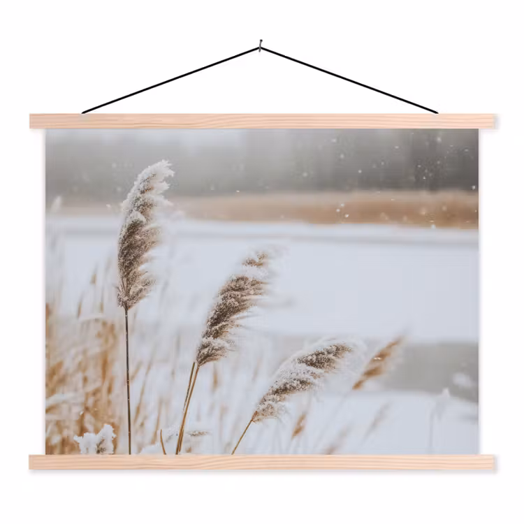 Schoolplaat - Riet - Meer - Winter - Natuur - Sneeuw - Beige — 1