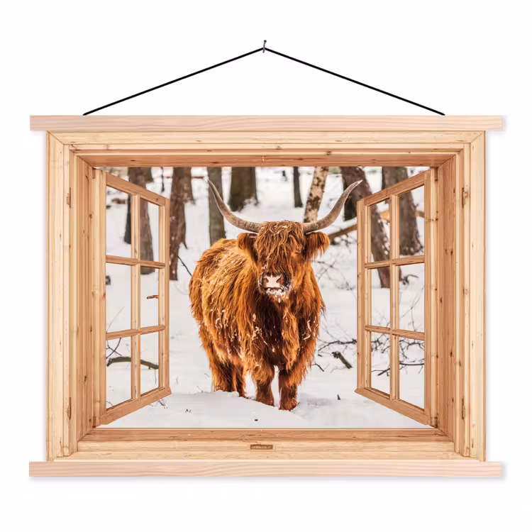 Schoolplaat - Schotse Hooglander - Winter - Landschap - Natuur - Dieren - Doorkijk — 1