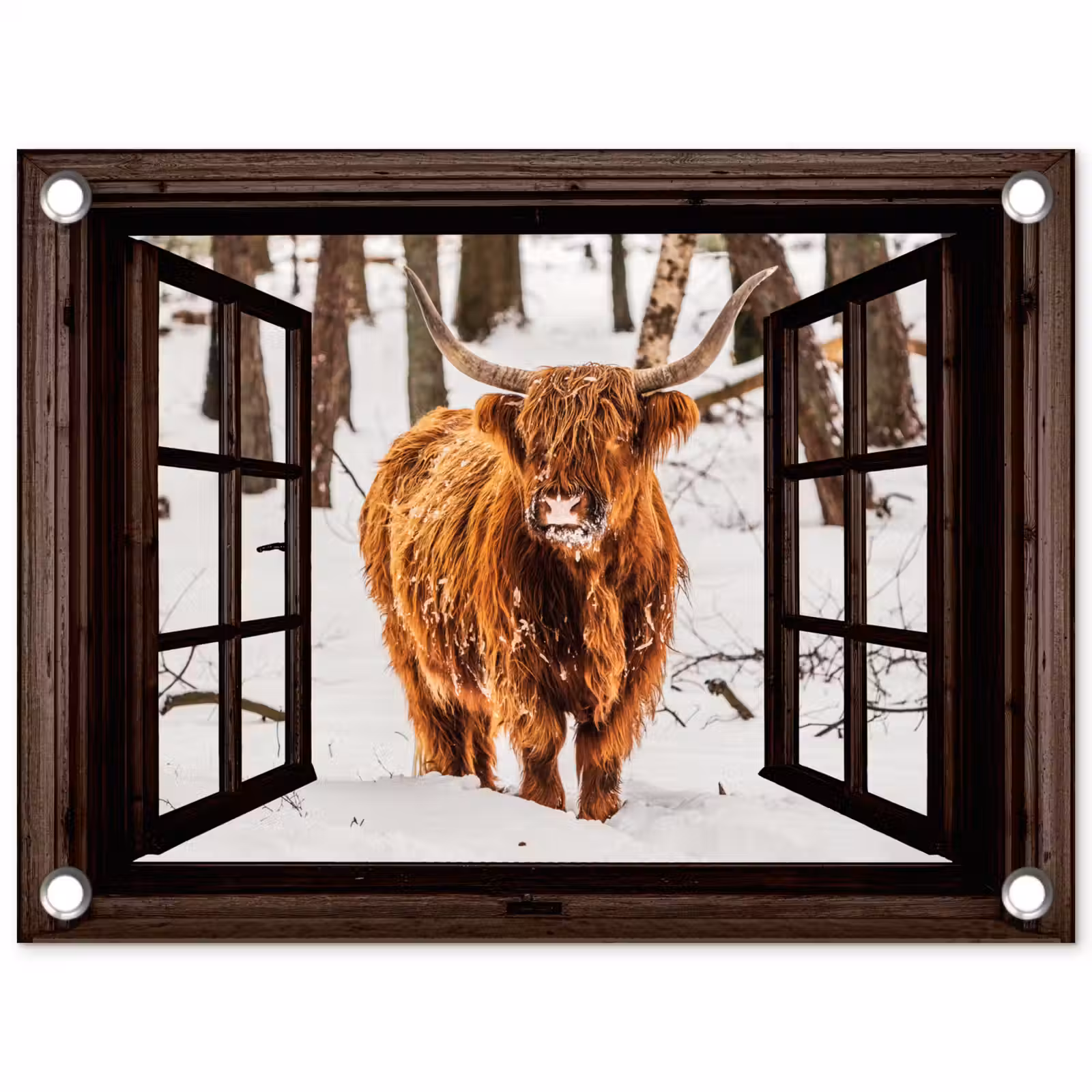 Tuinposter - Schotse Hooglander - Sneeuw - Natuur - Dieren - Doorkijk - Winter — 1