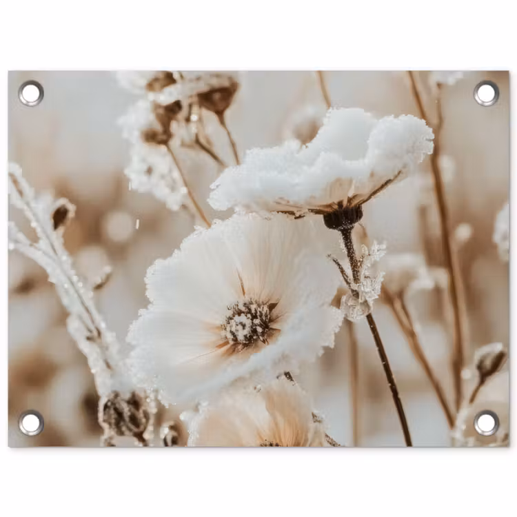 Tuinposter - Bloemen - Winter - Wit - Sneeuw - Beige — 1