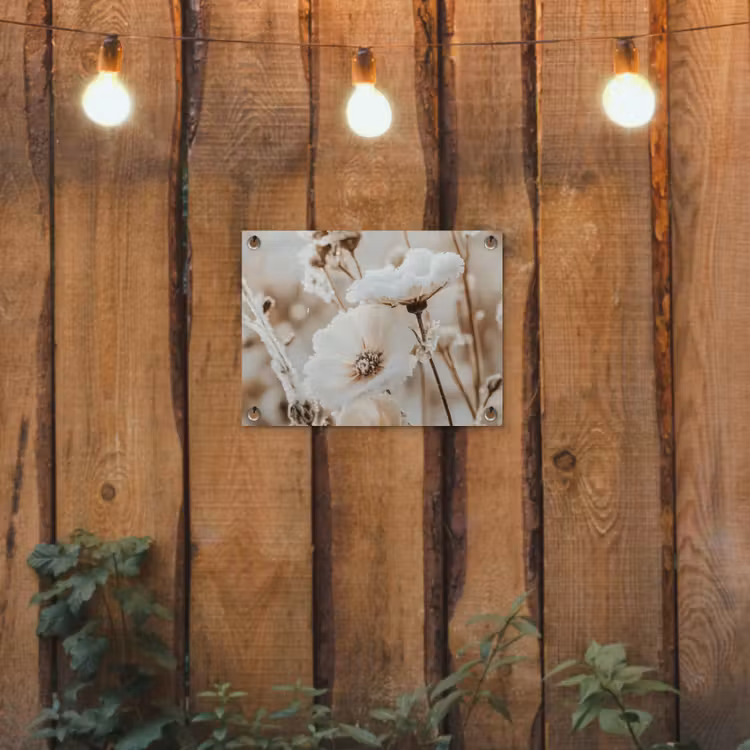 Tuinposter - Bloemen - Winter - Wit - Sneeuw - Beige — 2