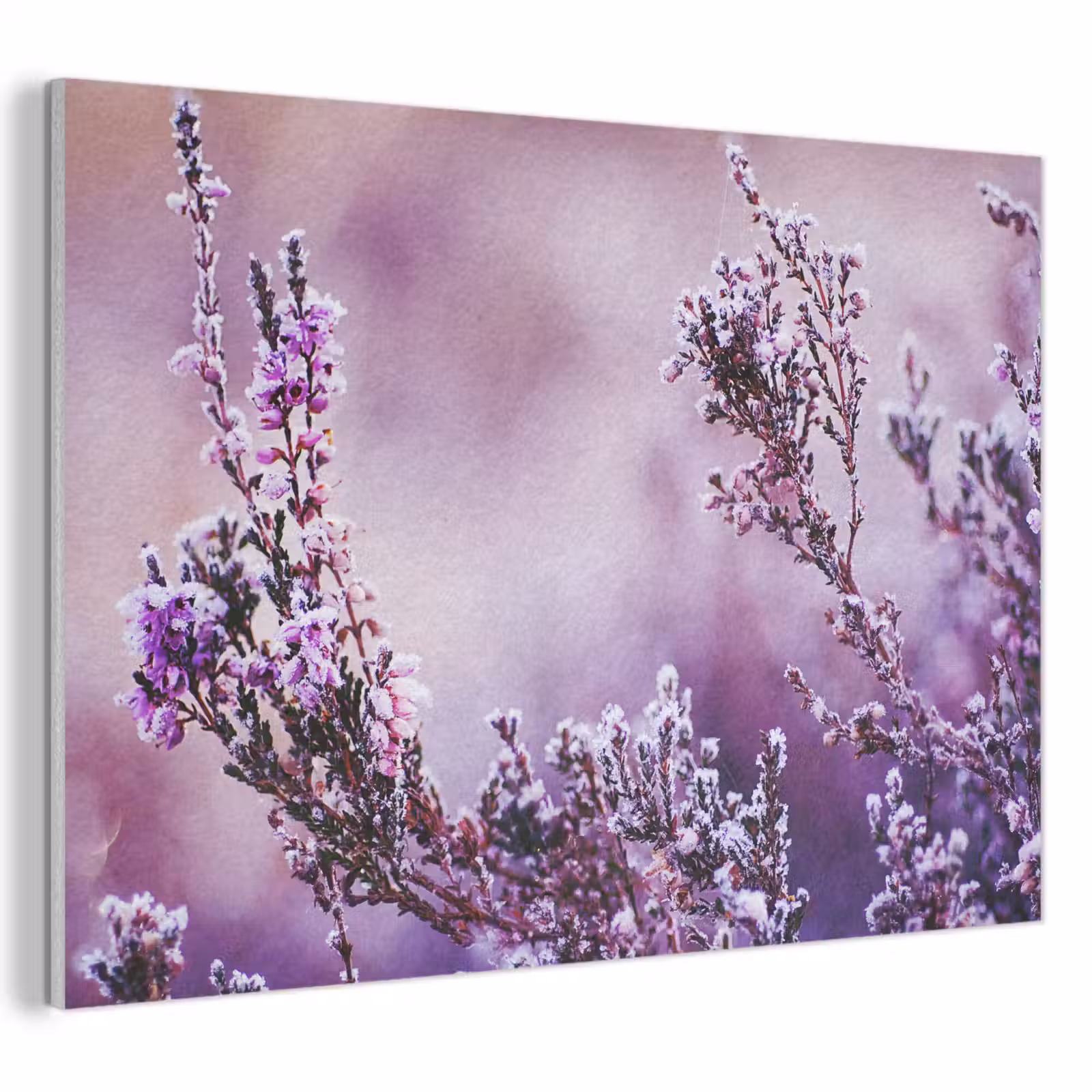 Akoestisch schilderij - Lavendel - Winter - Bloemen - Paars — 1