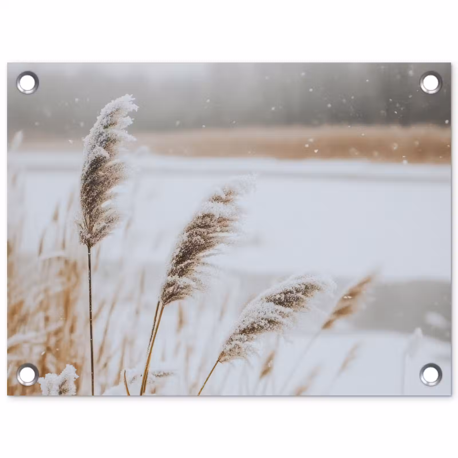 Tuinposter - Riet - Meer - Winter - Natuur - Sneeuw - Beige — 1