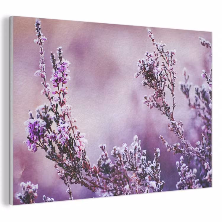 Akoestisch schilderij - Lavendel - Winter - Bloemen - Paars — 1