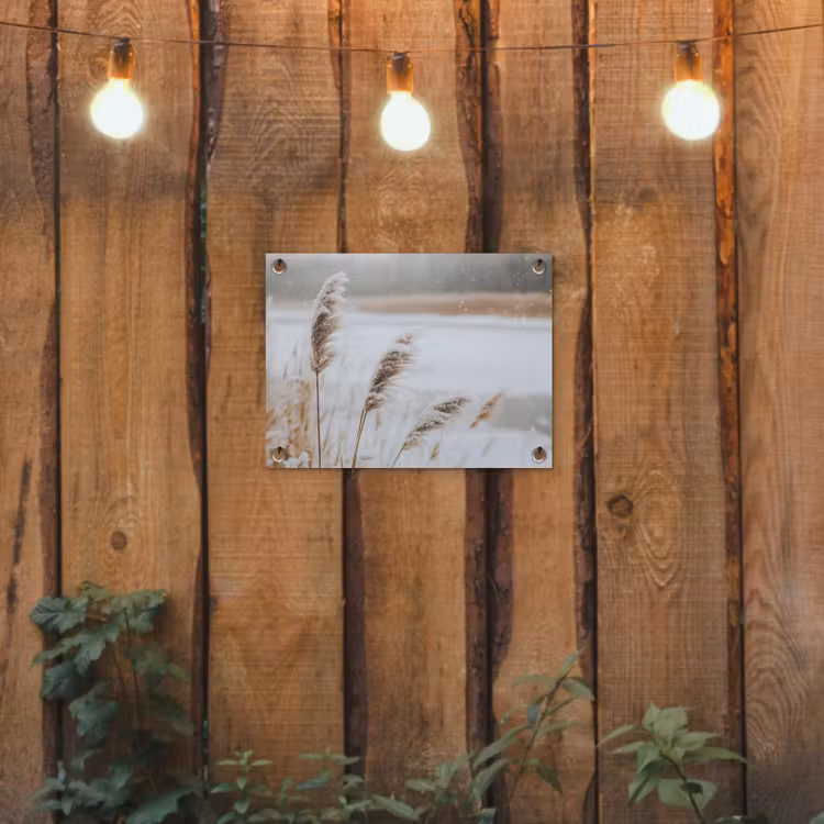 Tuinposter - Riet - Meer - Winter - Natuur - Sneeuw - Beige — 2