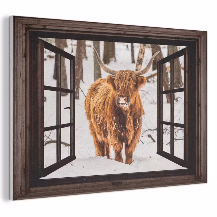 Akoestisch schilderij - Schotse Hooglander - Sneeuw - Natuur - Dieren - Doorkijk - Winter — 1