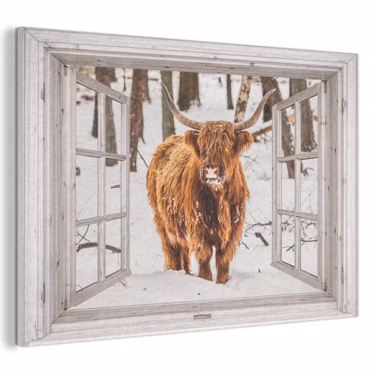Akoestisch schilderij - Schotse Hooglander - Sneeuw - Winter - Natuur - Dier - Doorkijk - Landelijk — 1