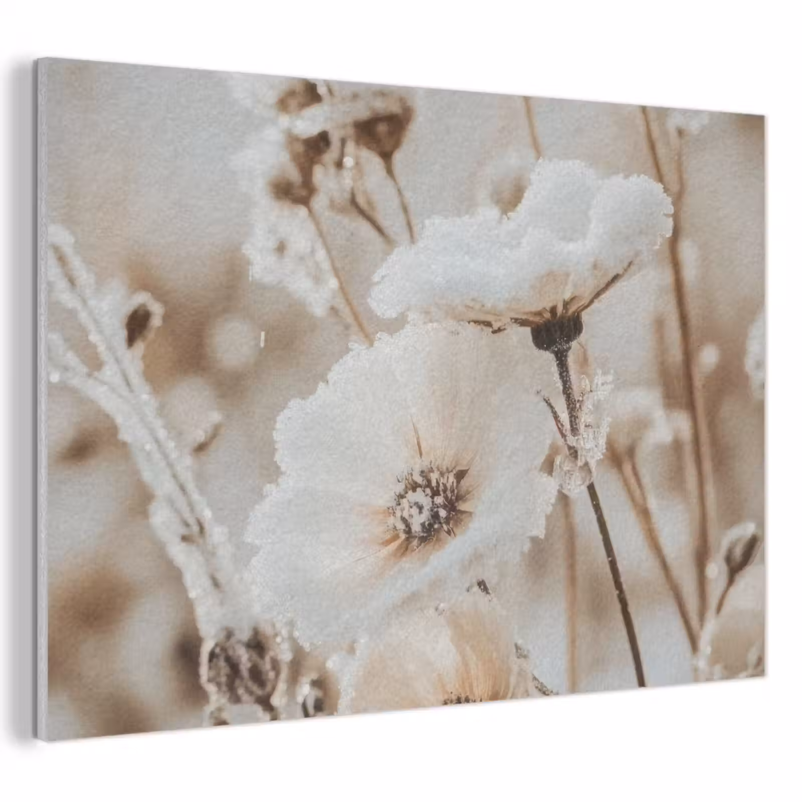 Akoestisch schilderij - Bloemen - Winter - Wit - Sneeuw - Beige — 1