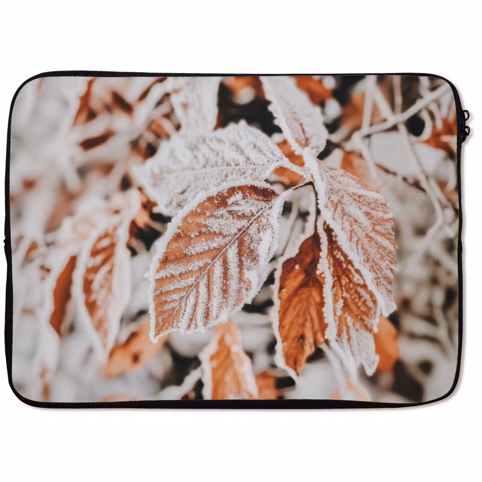 Laptophoes Bladeren - IJs - Winter - Natuur — 1