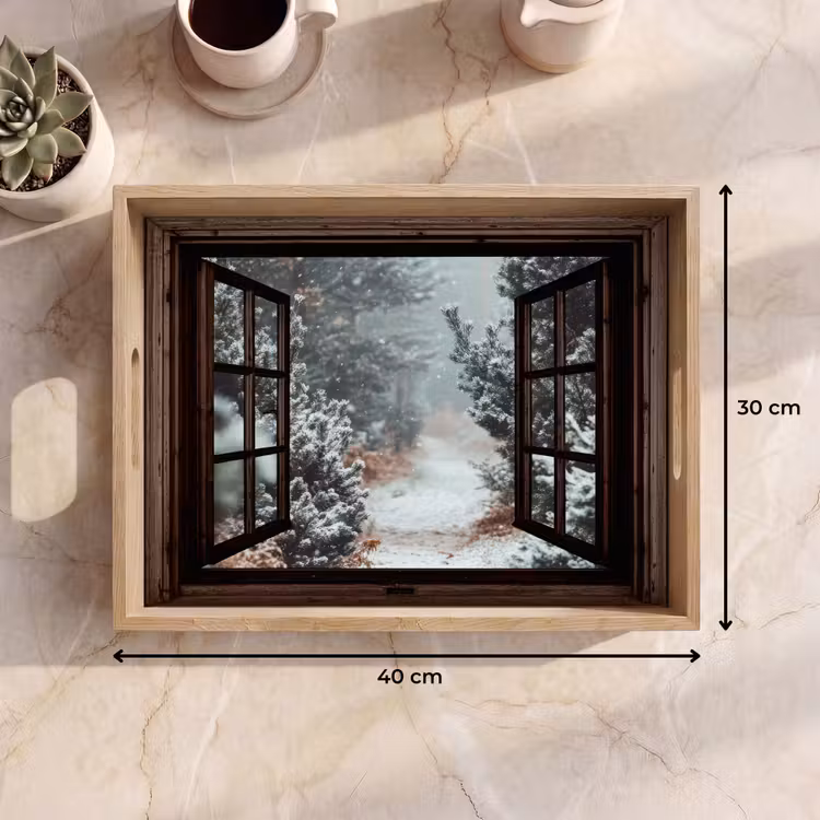 Dienblad - Bos - Winter - Bomen - Natuur - Pad - Doorkijk — 9