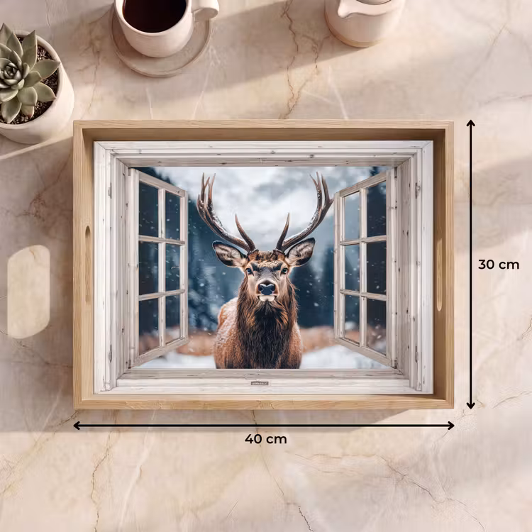 Dienblad - Hert - Dieren - Landschap - Winter - Sneeuw - Doorkijk - Natuur — 9