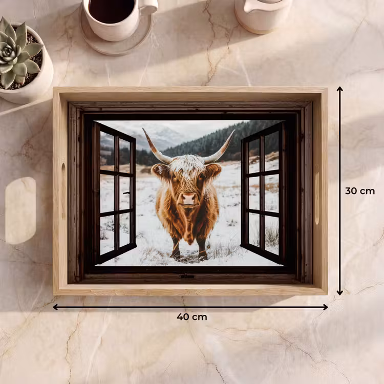 Dienblad - Schotse Hooglander - Landschap - Landelijk - Bergen - Winter - Doorkijk - Donker — 9